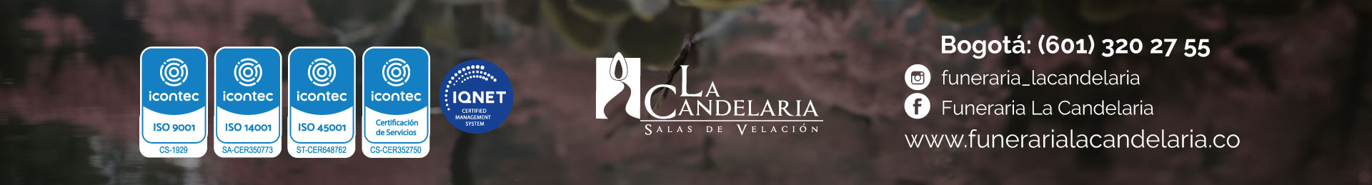 Velaci&oacute;n Virtual Candelaria